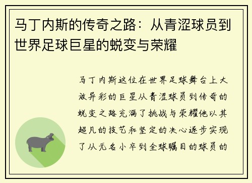 马丁内斯的传奇之路：从青涩球员到世界足球巨星的蜕变与荣耀